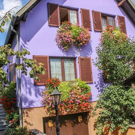 Jaune Et Rose-4 By Interhome マルコルスハイム