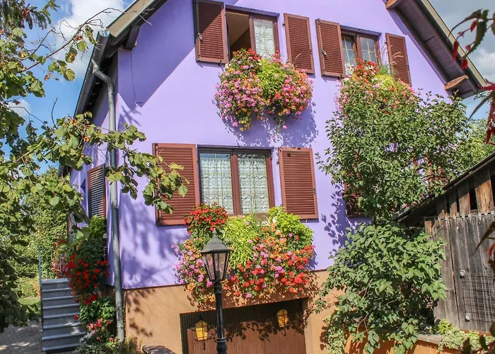 Jaune Et Rose-4 By Interhome Marckolsheim